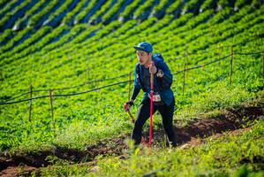 BIB: 
                            <button type="button" onclick="openModal(19160394)" class="btn btn-primary btn-sm float-right btn-popup" data-toggle="modal" data-target=".modal-high-quality">
                        <i class="fas fa-shopping-cart"></i> Add to Cart
                    </button>
                                            <button type="button" onclick="isThisMe(19160394, true)" class="btn btn-success btn-sm float-right btn-popup btn-isme hidden" data-toggle="tooltip" data-placement="bottom" title="นี่คือรูปของคุณใช่ไหม คลิกที่นี่เพื่อเอาเข้าอัลบั้ม">
                        <i class="fas fa-plus"></i> Add to album
                    </button>
                    <button type="button" onclick="isThisMe(19160394, false)" class="btn btn-warning btn-sm float-right btn-popup btn-isnotme hidden">
                        <i class="fas fa-ban"></i> Remove from album
                    </button>